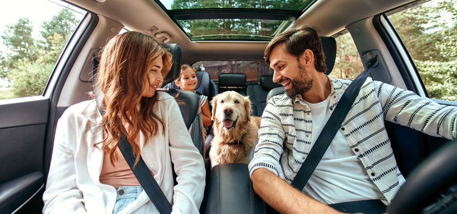 Comment attacher son chien en toute sécurité dans la voiture ?